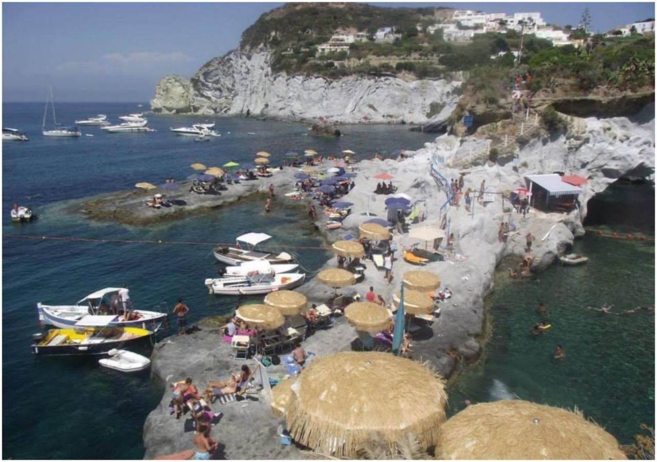 Hotel Ortensia Πόντσα Εξωτερικό φωτογραφία